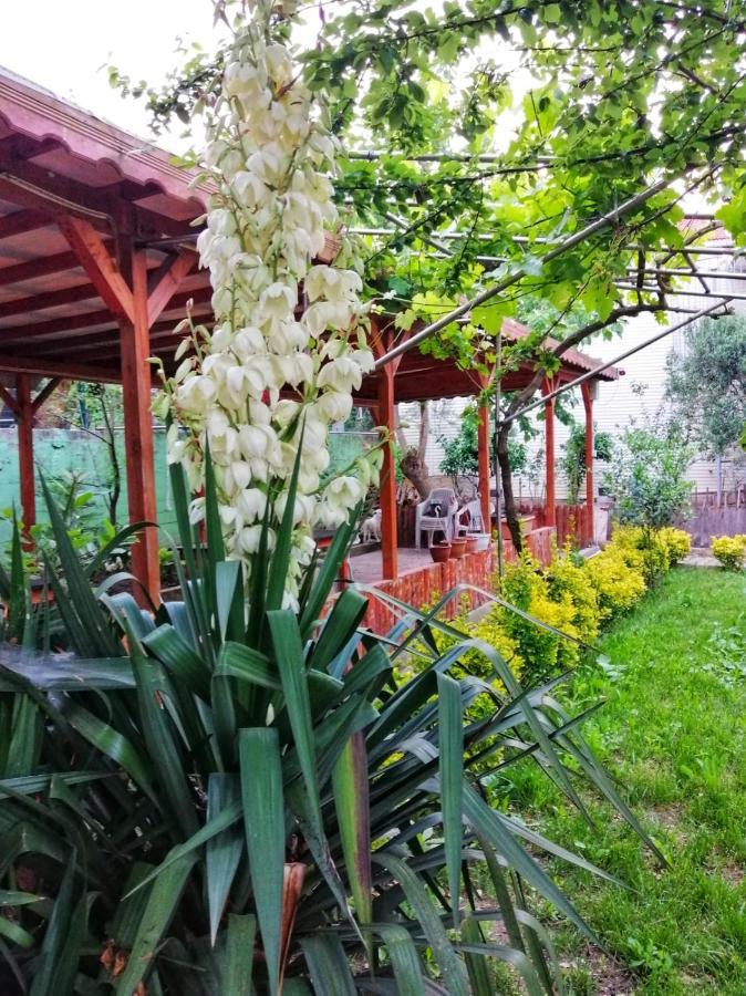 Kilic Motel Стамбул Экстерьер фото